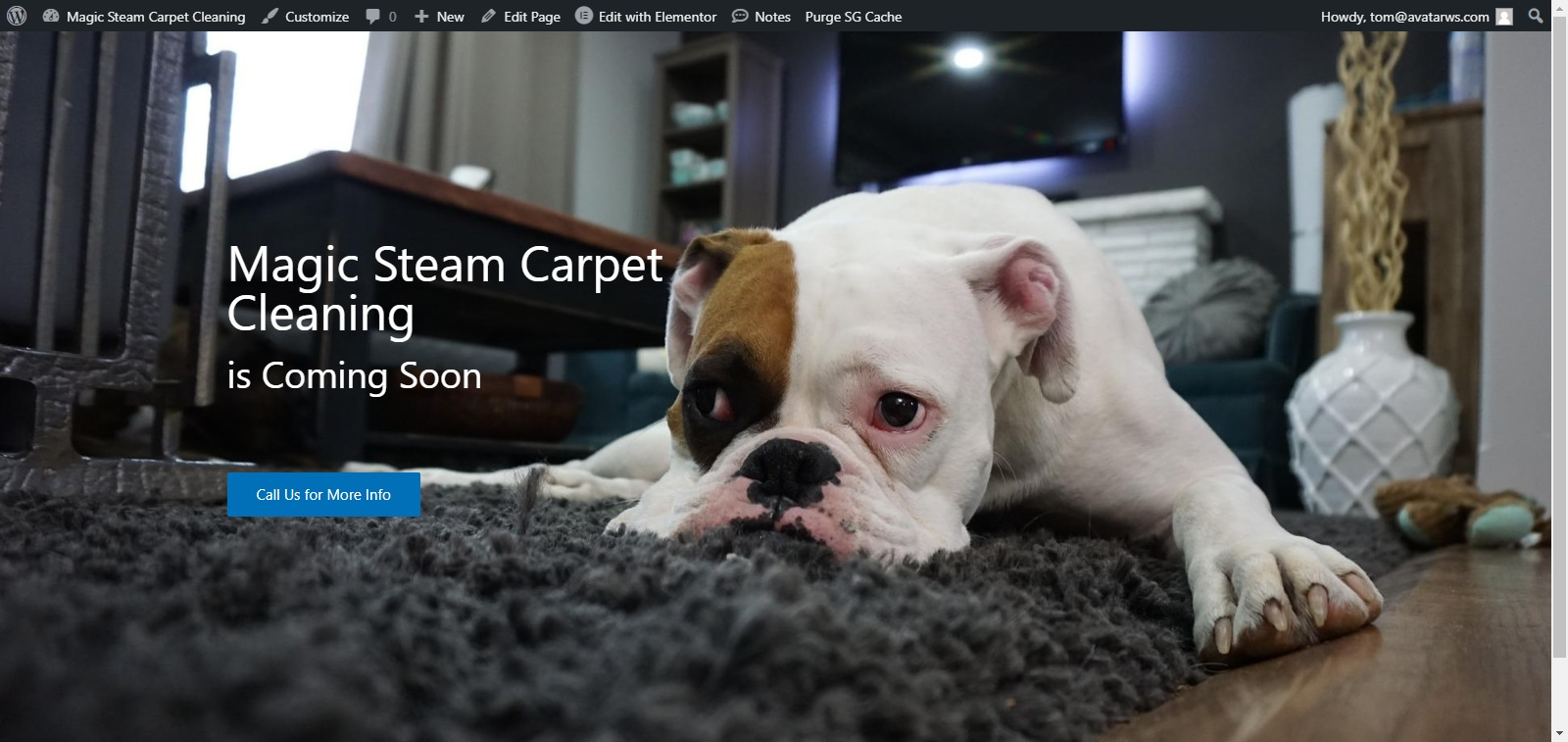 Magic Steam Carpet Cleaning – Professional carpet, tile, and upholstery cleaning